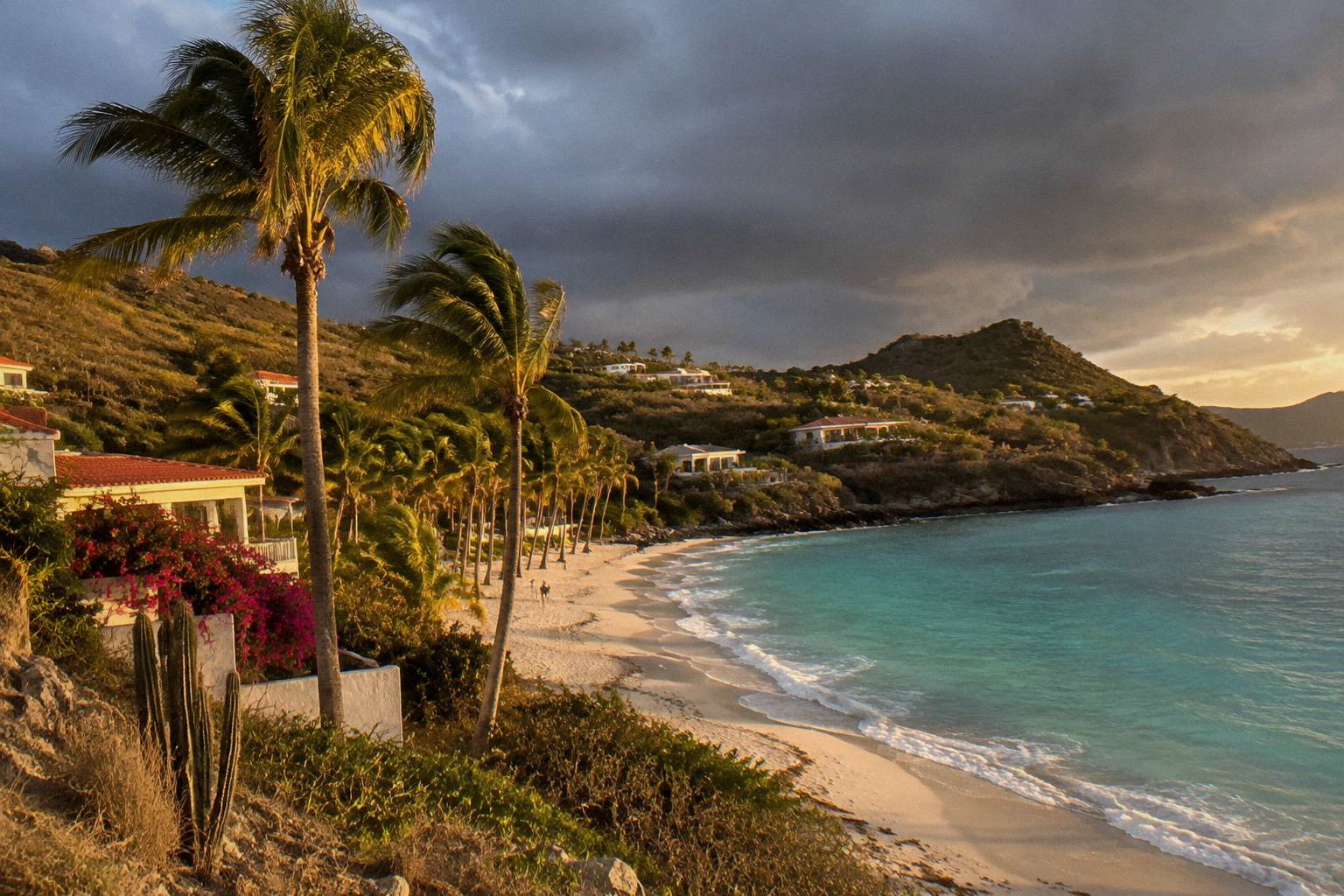 Palm trees along an empty Caribbean beach under a heavy grey sky before a storm