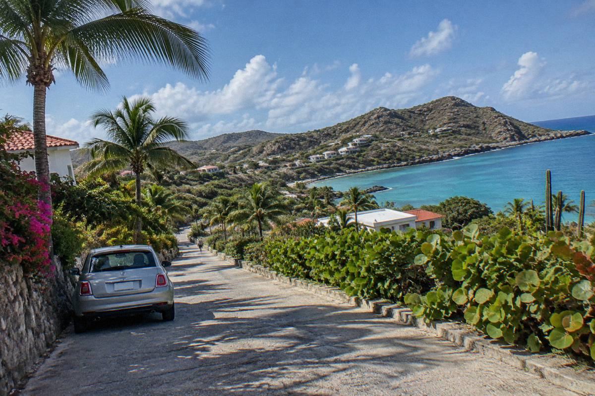 A small parked car beside a palm-lined lane with a glimpse of turquoise water beyond