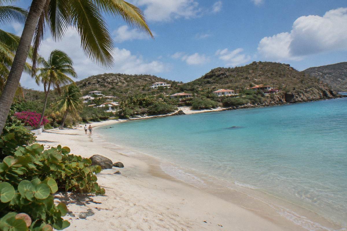 Palm trees and a covered terrace above a calm bay with turquoise water