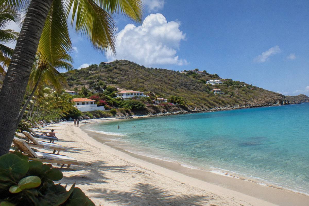 Palm trees and lounge chairs on a white sand beach beside calm clear water