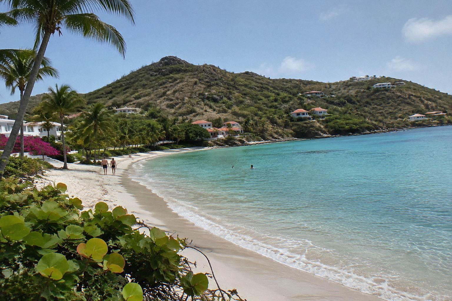 White sand beach and calm turquoise bay with palm trees on the coast of Saint Barthelemy