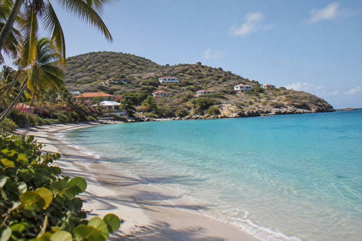 A quiet palm-lined beach with calm turquoise water and no people