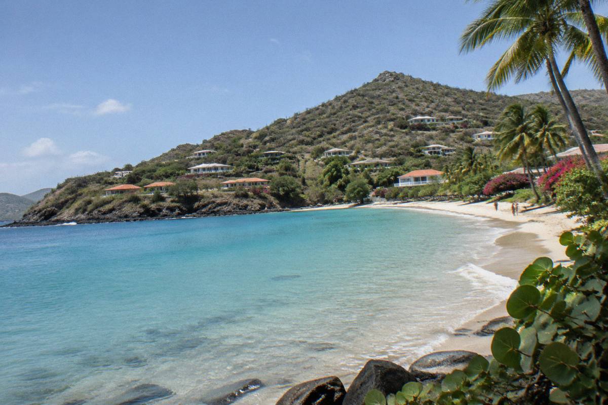 A quiet Caribbean beach with calm shallow water and coconut palms at the shoreline