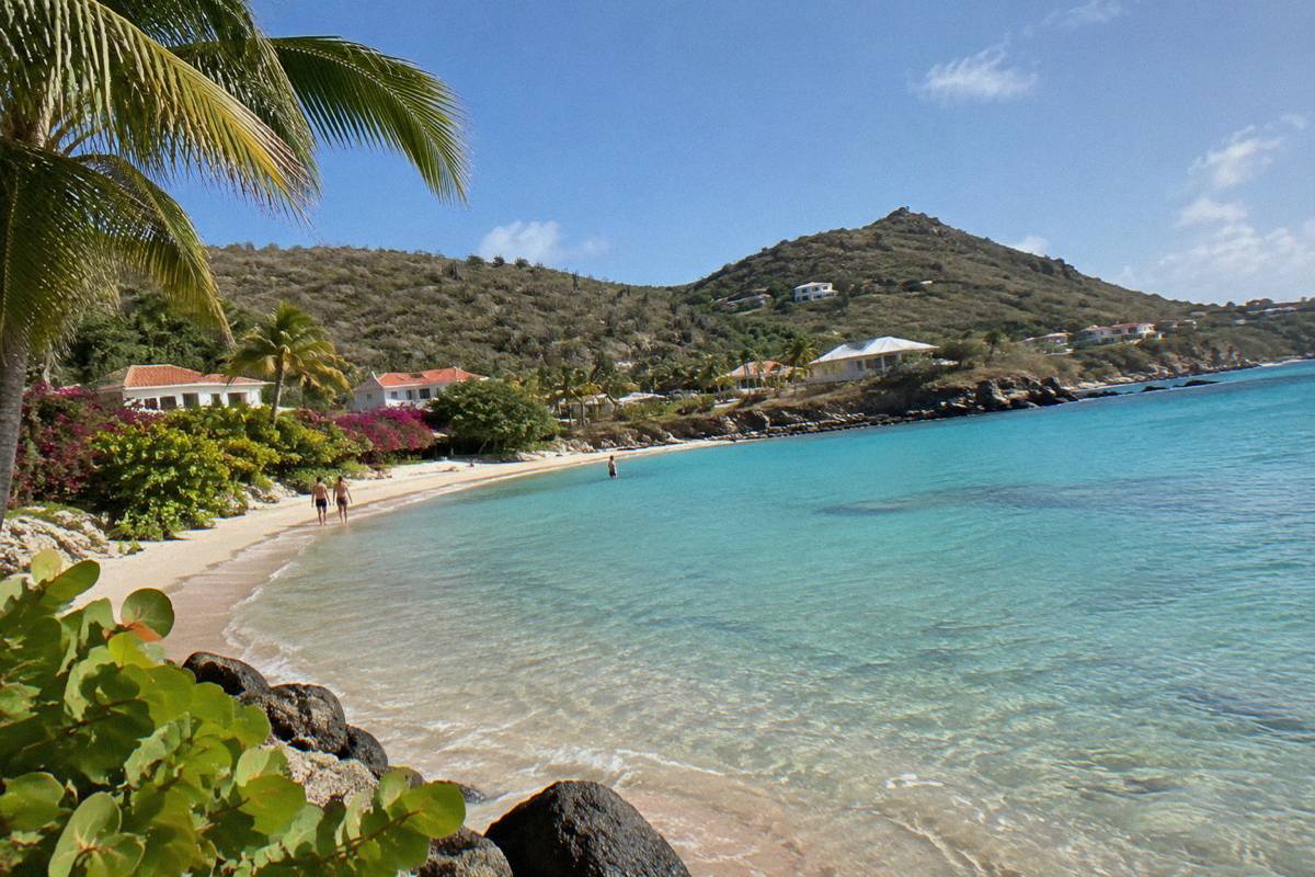 Sunny beach on St Barts with calm shallow water and palm fronds