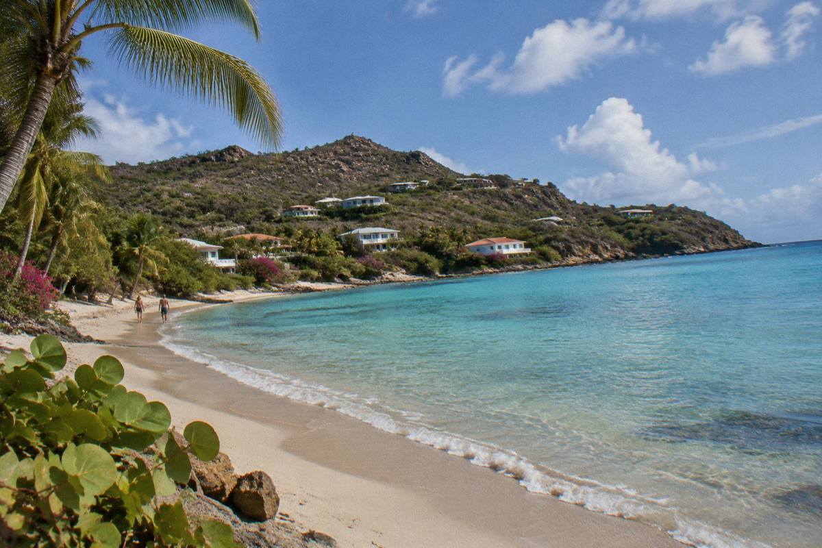 A quiet palm-lined beach on St Barts with calm shallow water and no crowds