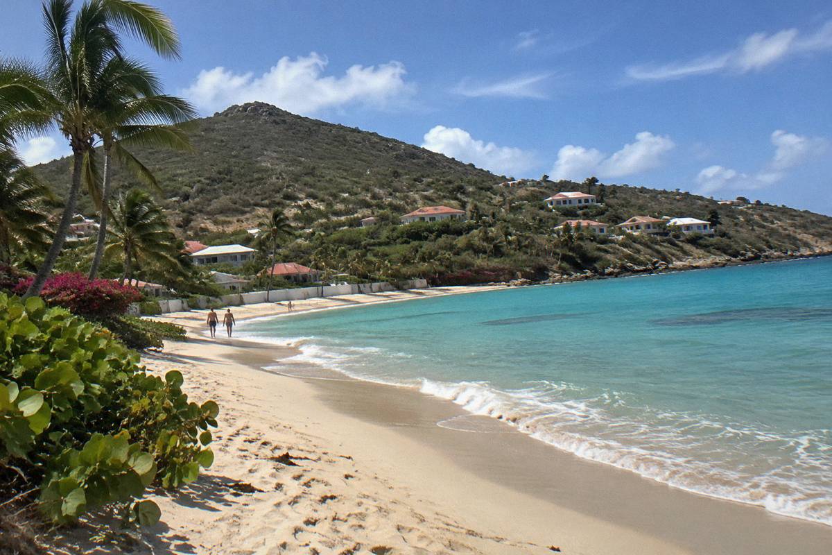 Low-rise buildings and palm trees above a wide sandy beach in Flamands