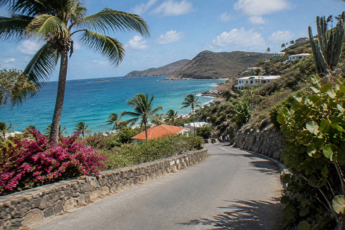 Narrow coastal road curving between palm trees and low stone walls above the sea