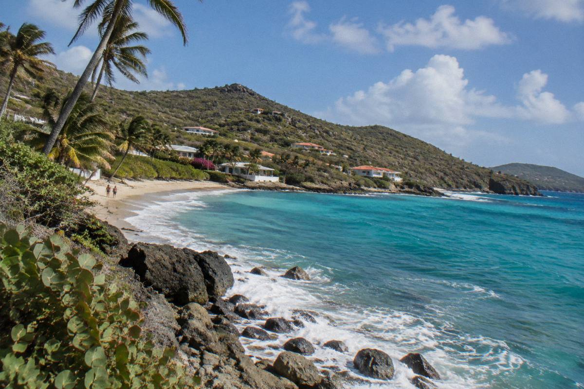 Rocky north shoreline with waves breaking and palm trees leaning over the sand
