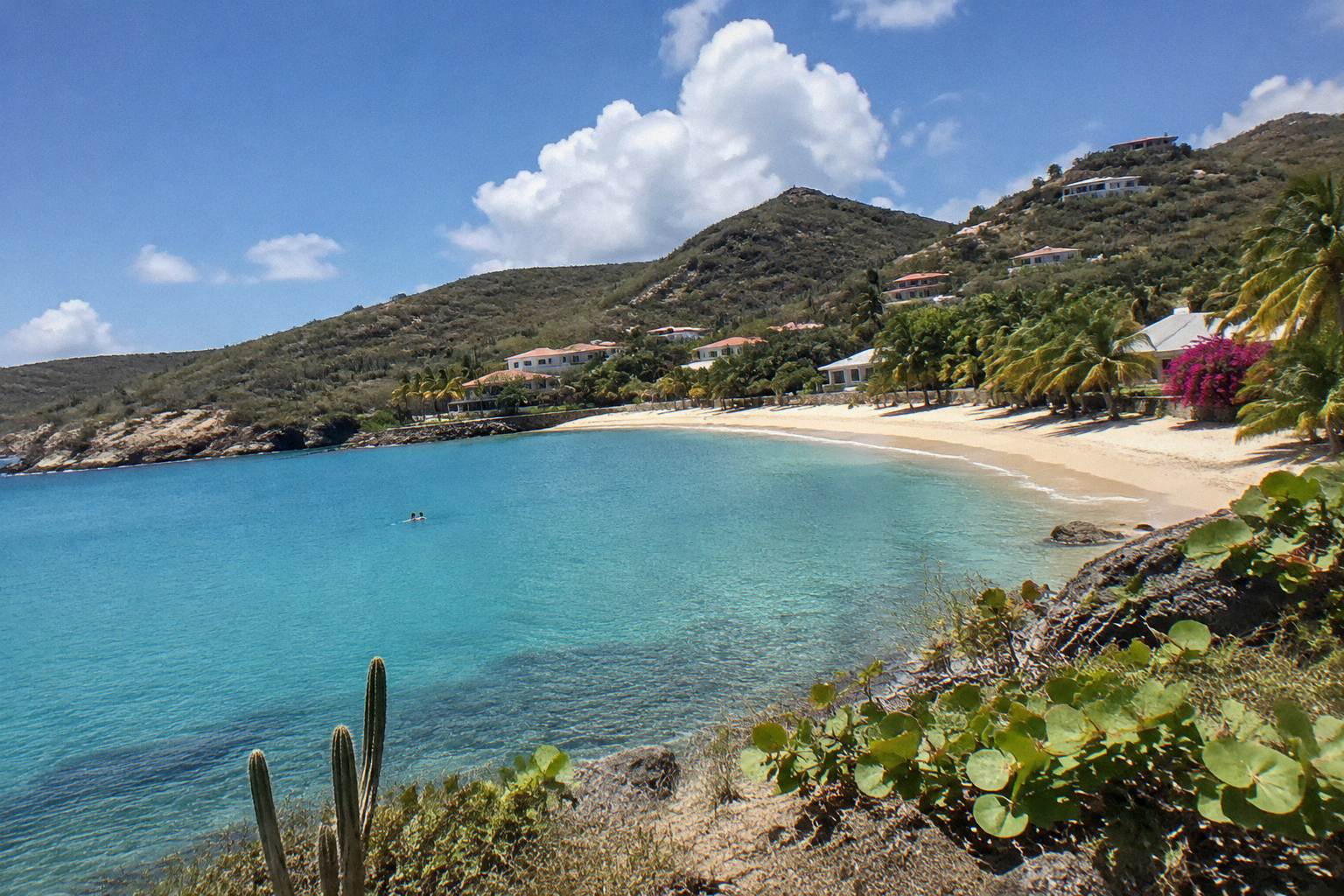 Calm turquoise bay in Saint Barthelemy with a sandy beach and palm trees along the shore