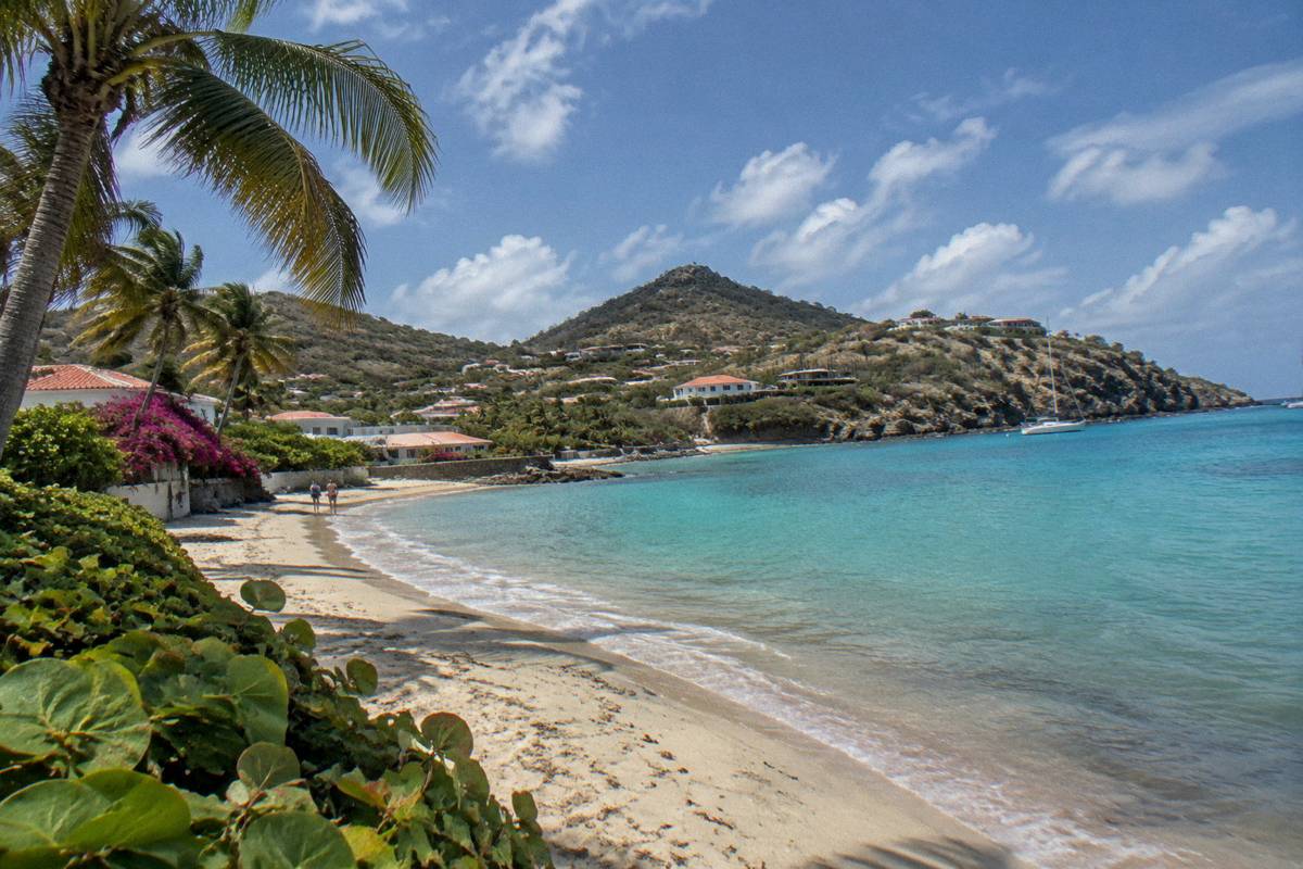 Quiet palm-lined beach with calm water and no crowds