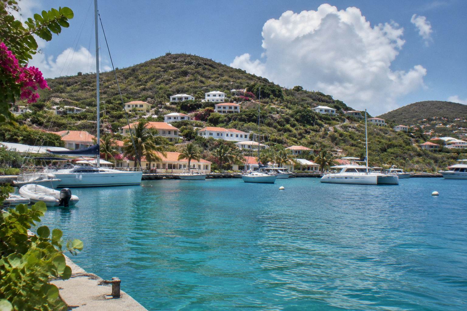 Harbour buildings on a green hillside above yachts moored in Gustavia