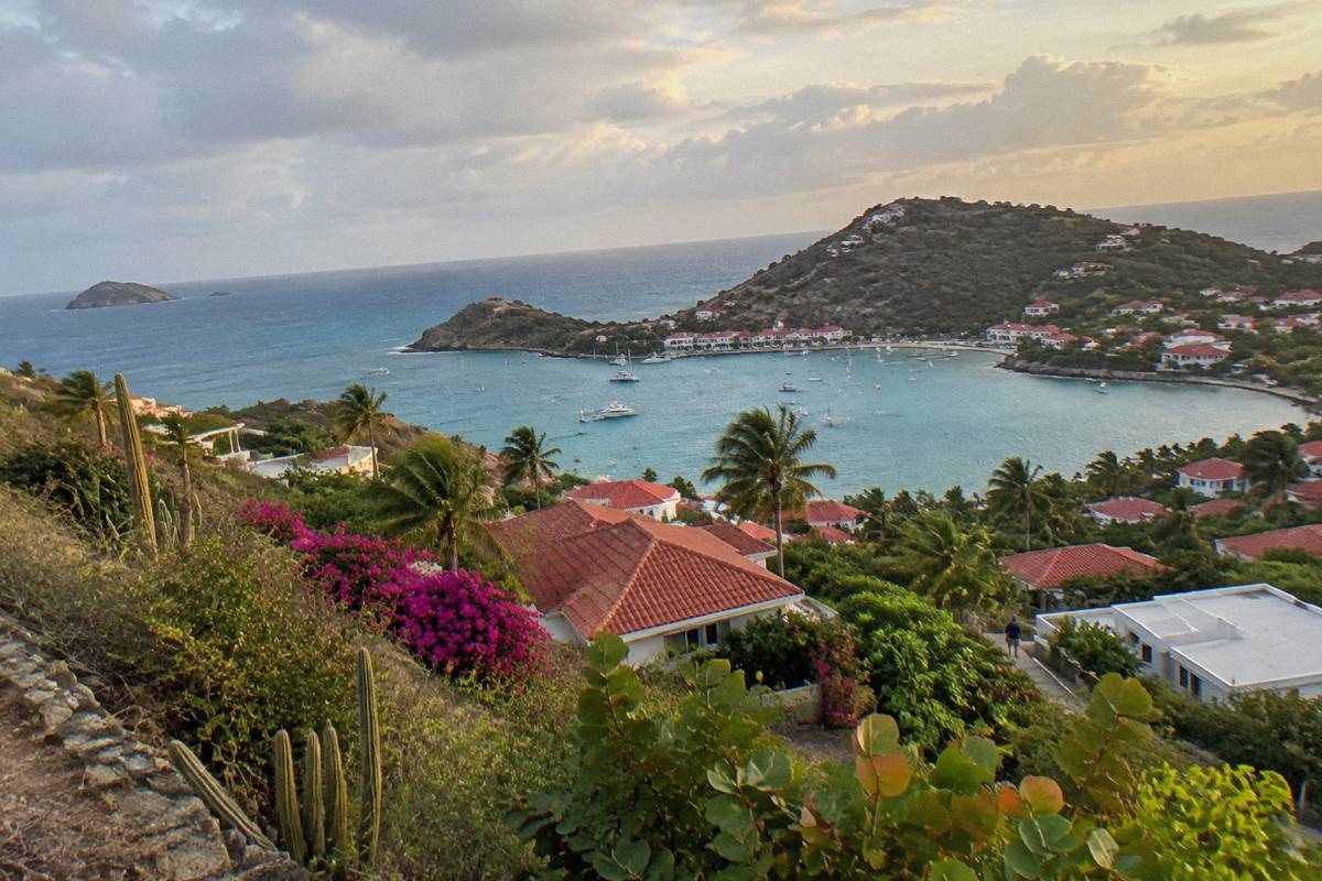A hillside view over red roofs and a small harbour at golden hour