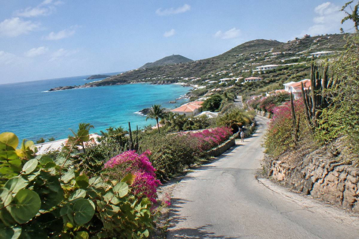 Narrow winding road climbing a green hillside beside the sea