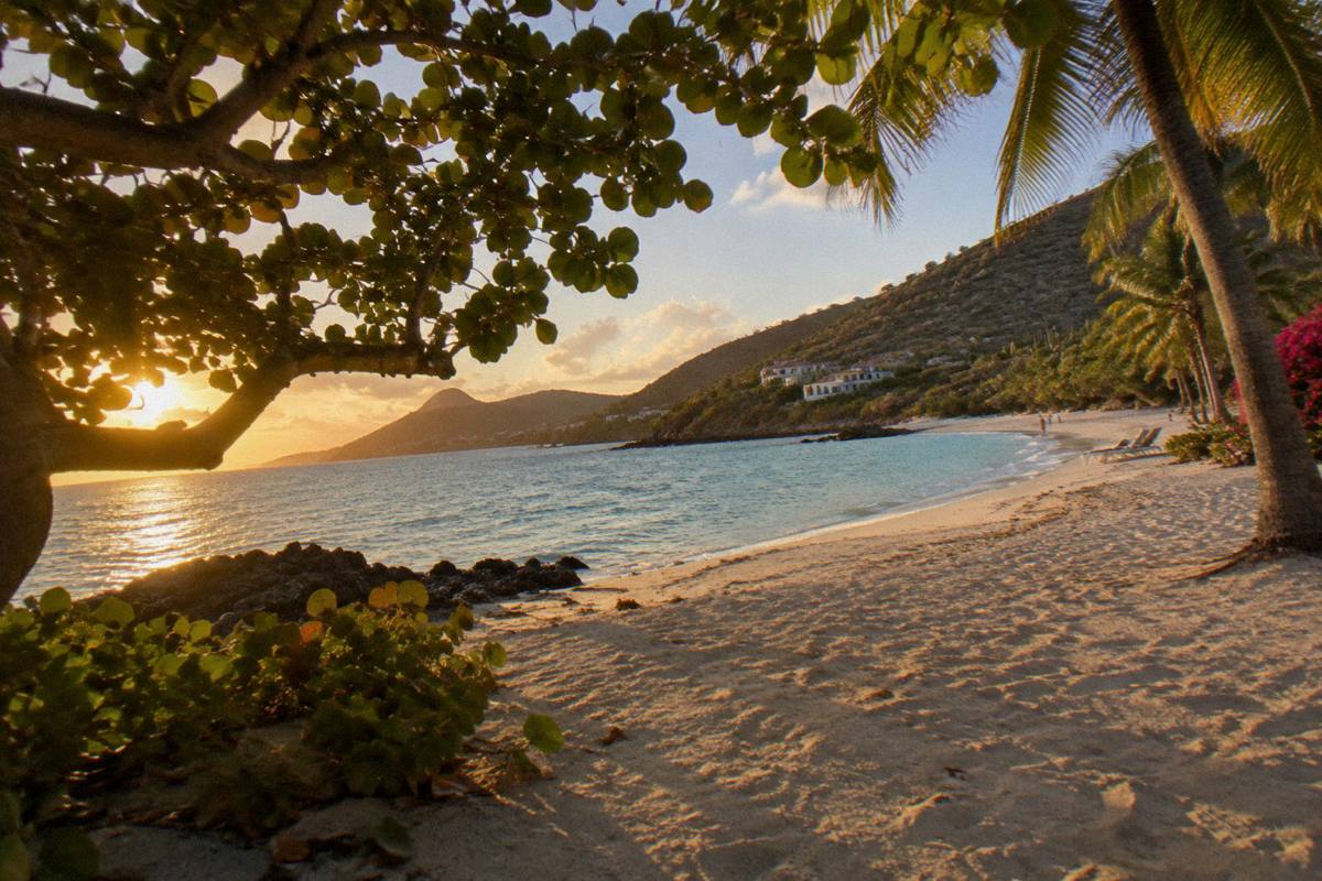 Palms and pale sand along the Saint-Jean shore